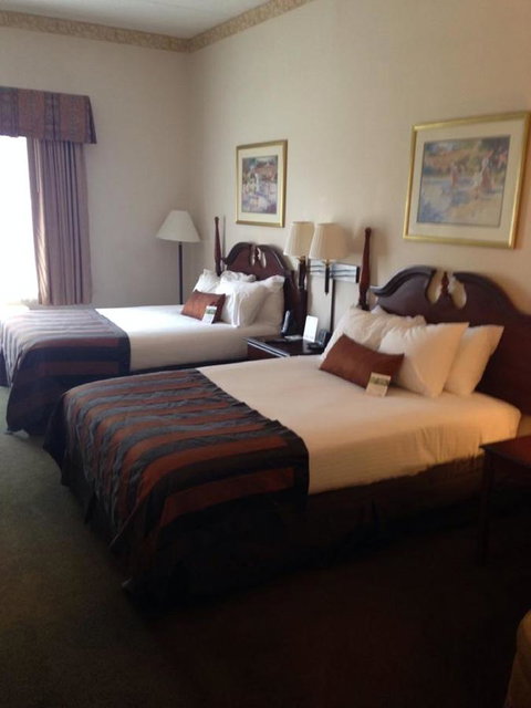 Wingate By Wyndham - Greenville - Renee 32