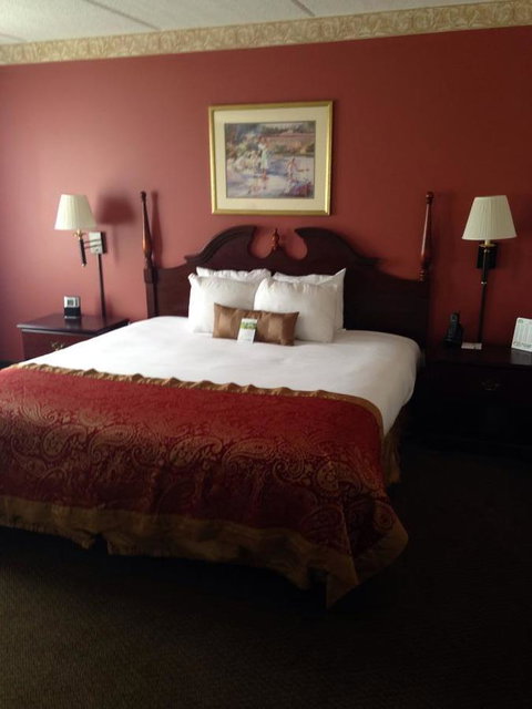 Wingate By Wyndham - Greenville - Renee 18
