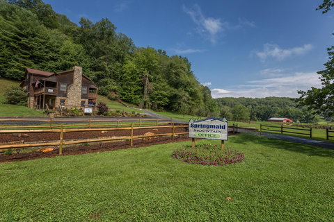 Springmaid Mountain - Renee 35