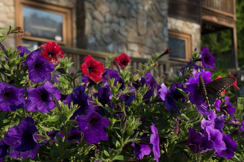 Springmaid Mountain - Renee 3