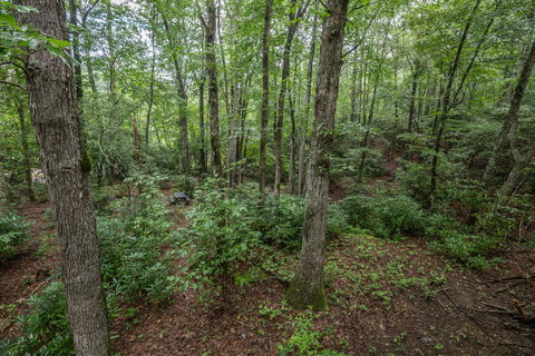 Springmaid Mountain - Renee 21