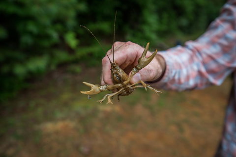 Springmaid Mountain - Renee 1