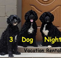 3 Dog Night
