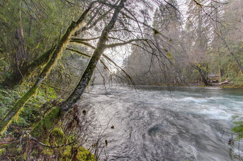 Renee's Log House - Internet Find 3