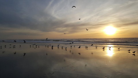 Winchester Bay Inn - Internet Find 26