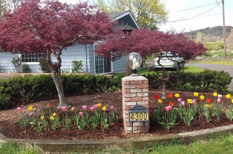 Racing Horse Ranch ~ FREE UNLIMITED GOLF!!! - Internet Find 27