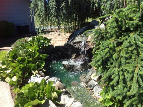 Racing Horse Ranch ~ FREE UNLIMITED GOLF!!! - Internet Find 10