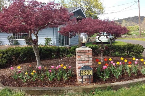 Racing Horse Ranch And Guest House ~ Free Golf! - Internet Find 20