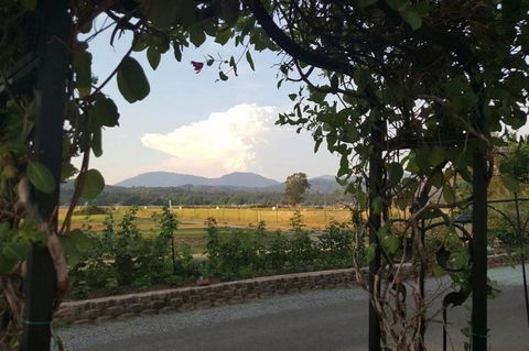 Racing Horse Ranch And Guest House ~ Free Golf! - Internet Find 19