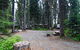 Shelter Cove Resort & Marina - thumb 19