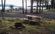 Shelter Cove Resort & Marina - thumb 12