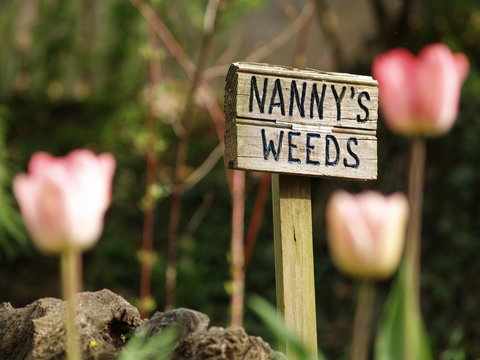 The Queen, A Victorian Bed & Breakfast - Internet Find 17