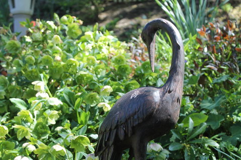 The Queen, A Victorian Bed & Breakfast - Internet Find 22