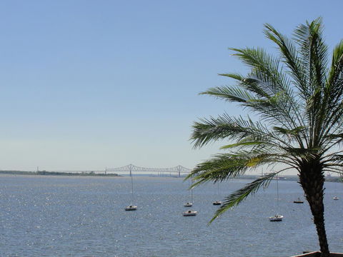 Airport Waterfront Inn - Renee 37