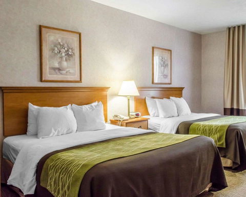 Comfort Inn Huntingdon - Internet Find 6