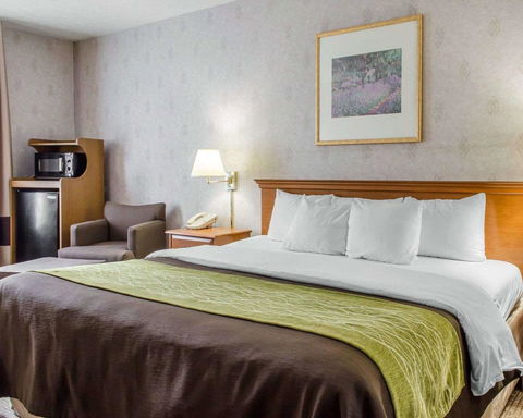 Comfort Inn Huntingdon - Internet Find 9