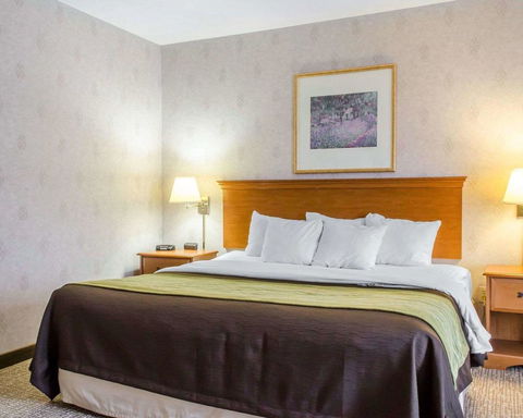 Comfort Inn Huntingdon - Internet Find 16