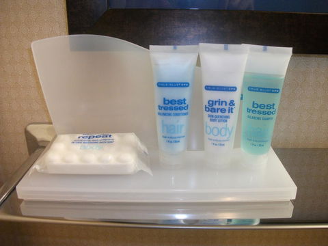 Wyndham Garden Philadelphia Airport - Renee 9