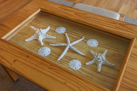 21 Turtle Bay Carolina Tides - Renee 24