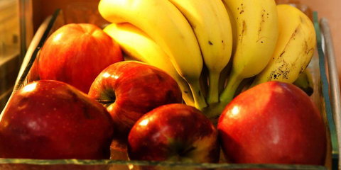 Holiday Inn Express Hotel & Suites - Sumter - Internet Find 1