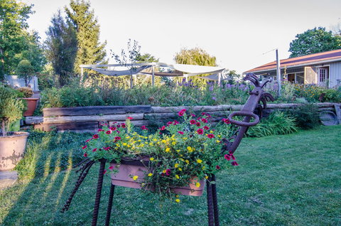 Inn At Charlotte B&B - Swimm 25