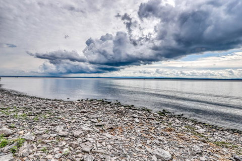 The Fun House - Renee 22