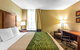 Comfort Inn Newport News Williamsburg East - thumb 18