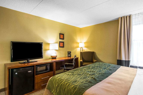 Comfort Inn Newport News Williamsburg East - Internet Find 15
