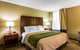 Comfort Inn Newport News Williamsburg East - thumb 17