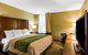 Comfort Inn Newport News Williamsburg East - thumb 7