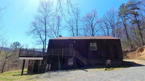 LL Red Bud - Renee 19