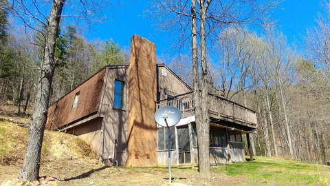 LL Red Bud - Renee 21