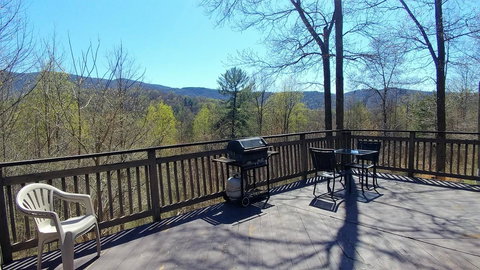 LL Red Bud - Renee 24