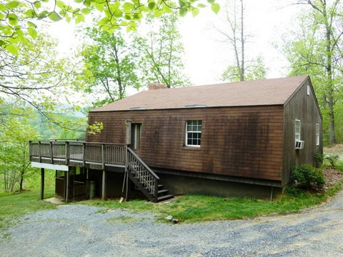 LL Red Bud - Renee 17