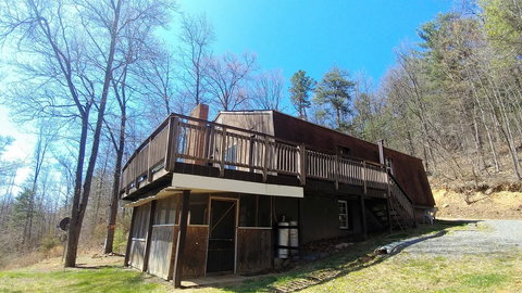 LL Red Bud - Renee 20