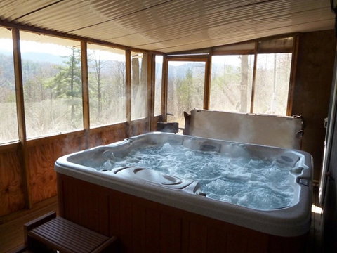 LL Red Bud - Renee 27