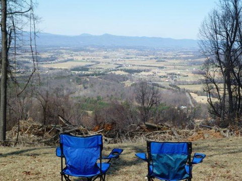 LL Red Bud - Renee 13