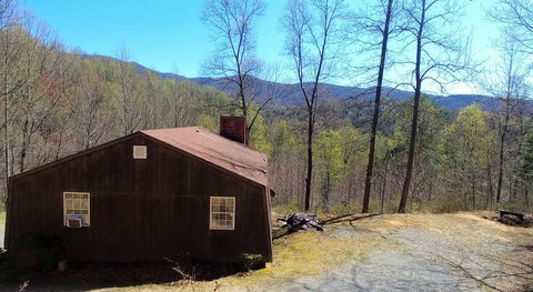 LL Red Bud - Renee 23