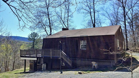 LL Red Bud - Renee 18