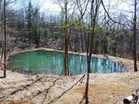 LL Red Bud - Renee 10