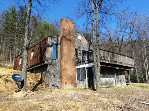 LL Red Bud - Renee 25