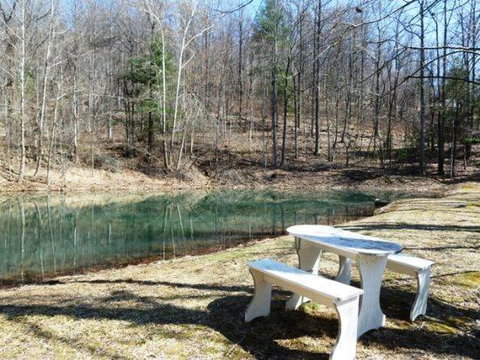 LL Red Bud - Renee 9