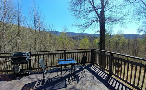 LL Red Bud - Renee 26