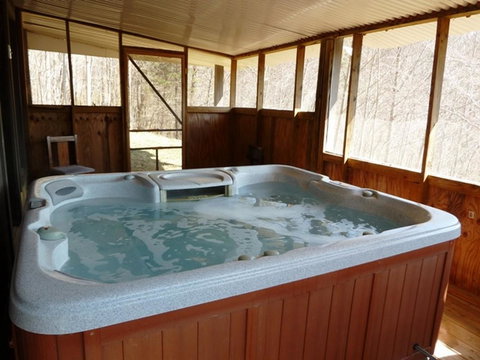 LL Red Bud - Renee 29