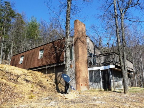 LL Red Bud - Renee 28