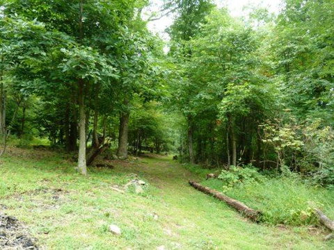 Mountain Roots Lodging - Renee 28