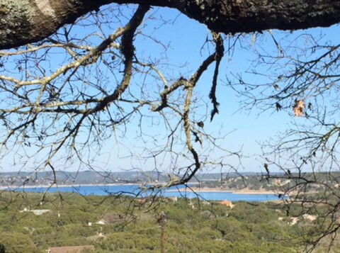 'Casa Del Arbol' (Tree House) For 14 Guests - Renee 1