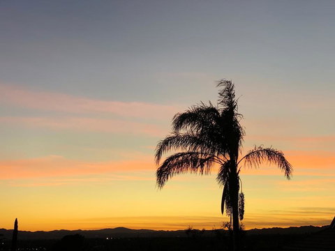 11642 Gothic Avenue - Renee 1