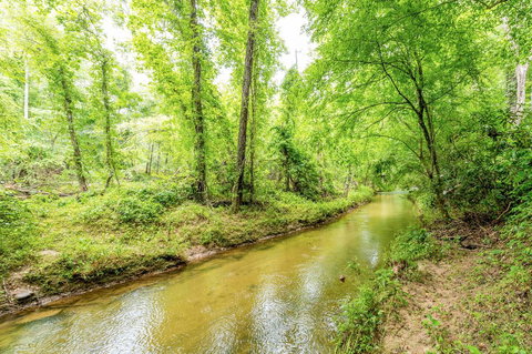 347 Redbird Drive Home - Renee 2