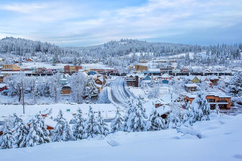 4175 Robert Ave Cabin - Renee 1